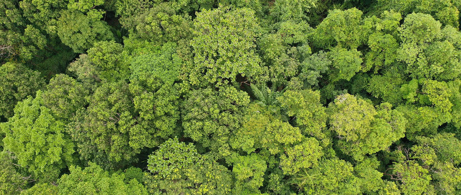 Sustentabilidade
